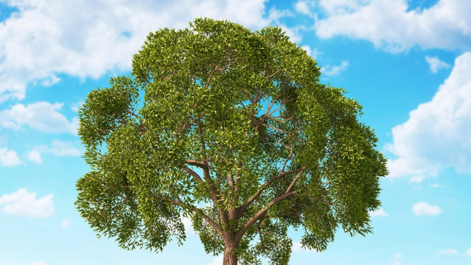 EPISODE 2: THE PROPHET'S GENEALOGY