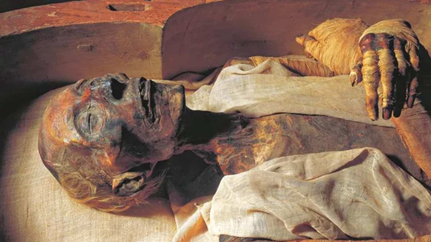 Le corps de Pharaon
